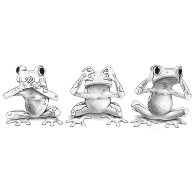 TRANSFER NO EVIL FROGS