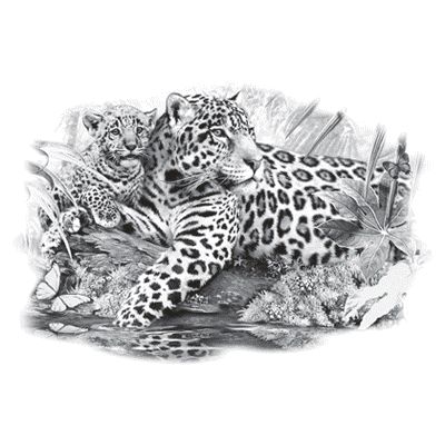 TRANSFER JAGUAR MOM & CUB