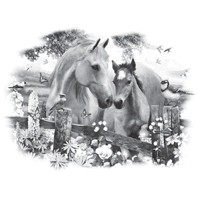 TRANSFER HOLLYHOCK HORSES