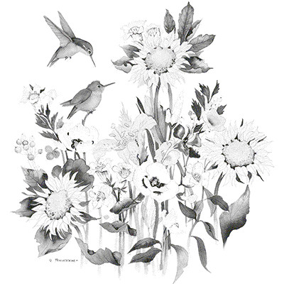 TRANSFER SUNFLOWERS & HUMMERS