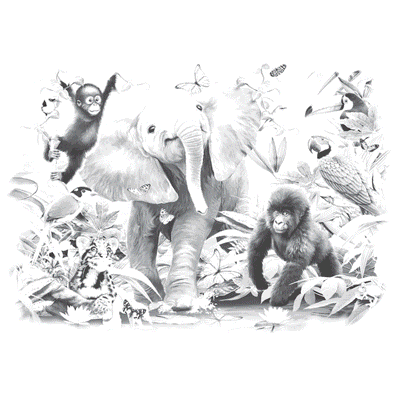 TRANSFER JUNIOR JUNGLE