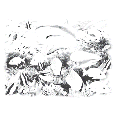 TRANSFER REEF SHARKS 3D