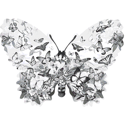 TRANSFER BUTTERFLY SHAPED