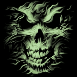 TRANSFER SILVER SKULL-GLOW IN THE DARK