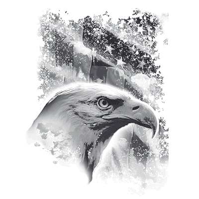 TRANSFER AMERICAN ICON
