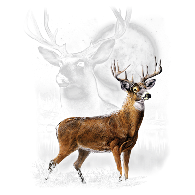 TRANSFER DEER WILDERNESS (DARKS ONLY)