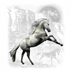 TRANSFER WHITE HORSE WILDERNESS