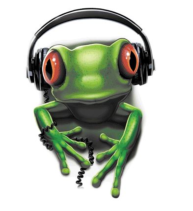 TRANSFER FROG ROCK