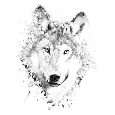TRANSFER NEON WOLF