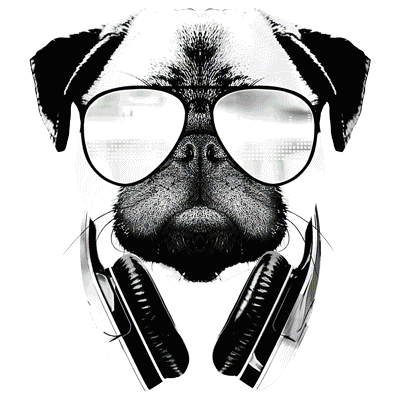 TRANSFER DJ PUG