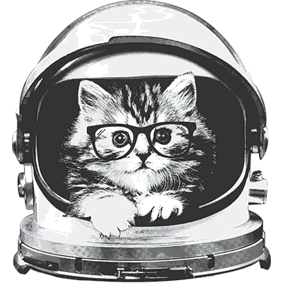 TRANSFER SPACE KITTEN