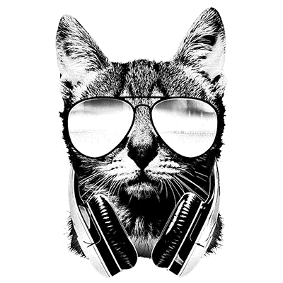 TRANSFER DJ CAT