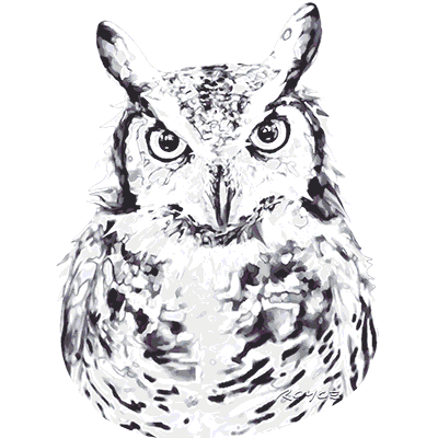 TRANSFER GREAT HORNED OWL