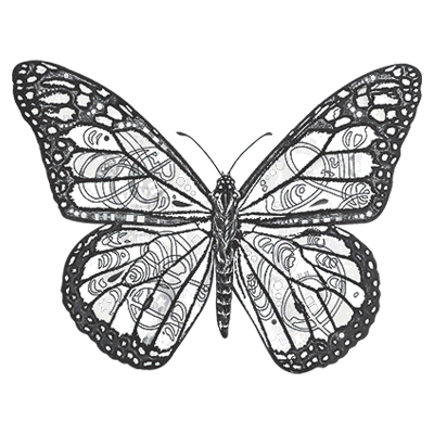 TRANSFER BUTTERFLY