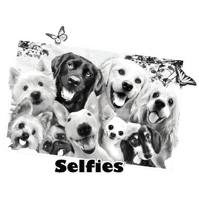 TRANSFER DOG SELFIE