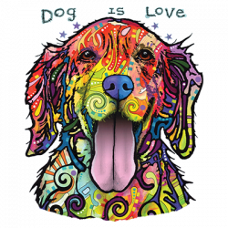 TRANSFER DOG IS LOVE