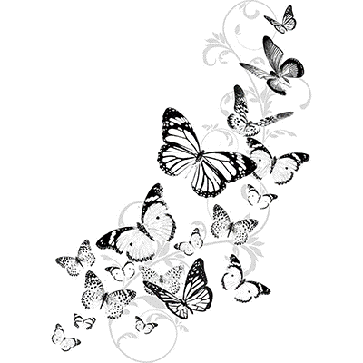 TRANSFER BUTTERFLIES