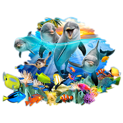 TRANSFER PLAYFUL DOLPHINS