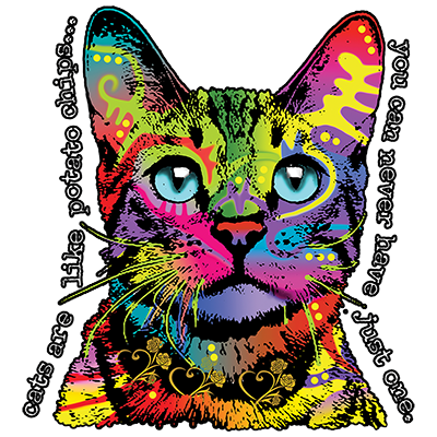 TRANSFER HELLO CAT