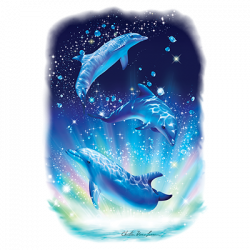TRANSFER DOLPHIN MAGIC