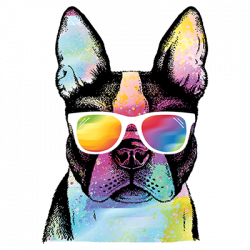 TRANSFER SUMMER PUG