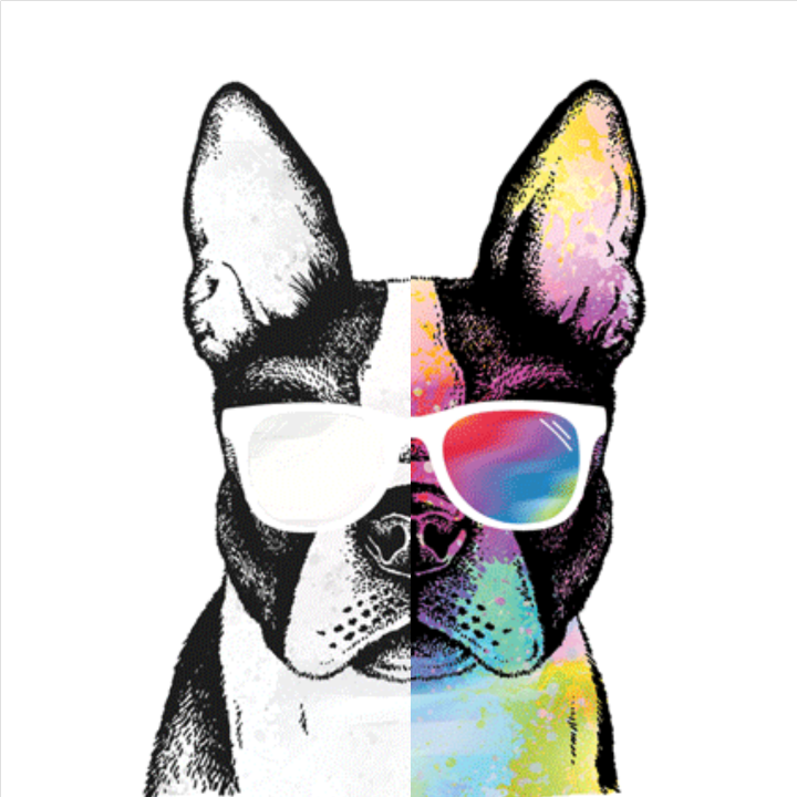 TRANSFER SUMMER PUG