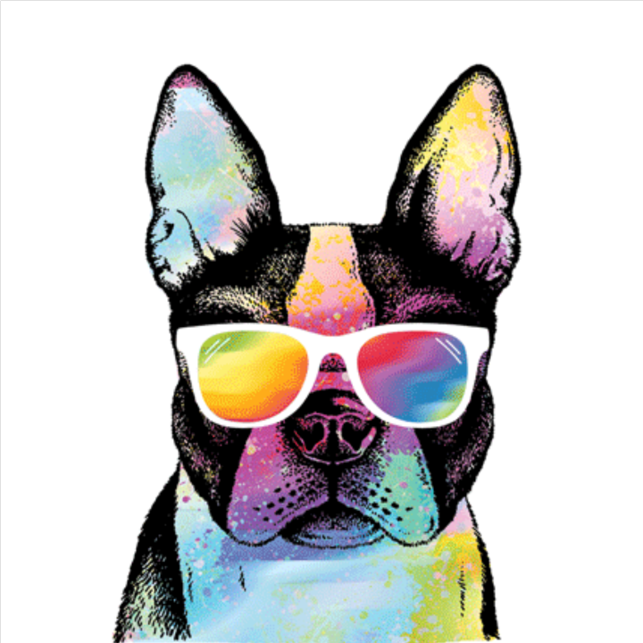 TRANSFER SUMMER PUG