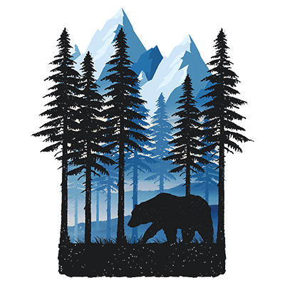 TRANSFER WINTER BEAR