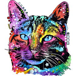 TRANSFER THOUGHTFUL CAT