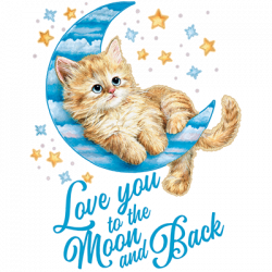 TRANSFER MOON KITTEN