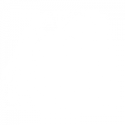TRANSFER AFRICAN LION SKETCH