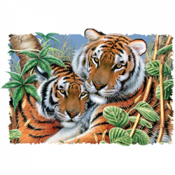TRANSFER TIGER TIGER