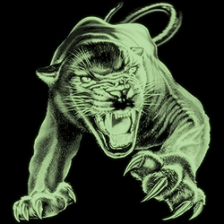 TRANSFER PANTER ATTACK-GLOW IN THE DARK