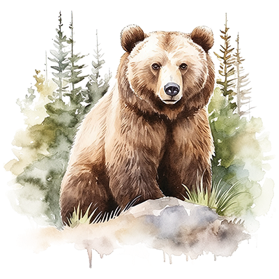 TRANSFER WATERCOLOR BROWN BEAR