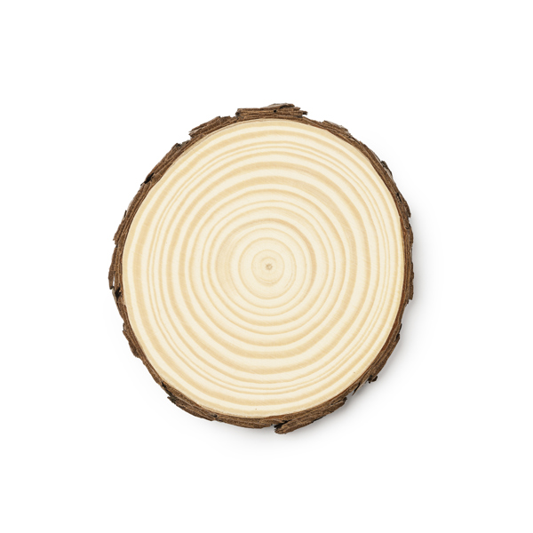Set 4 sottobicchieri in legno PINEA