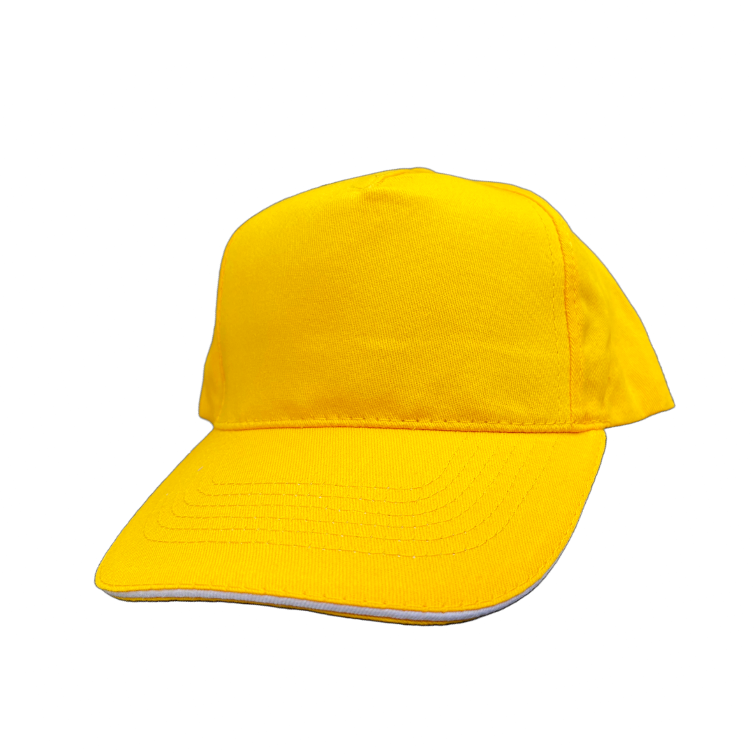 CAPPELLO WATSON